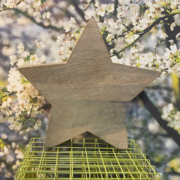 Threshold Wooden White Wash Star Decor